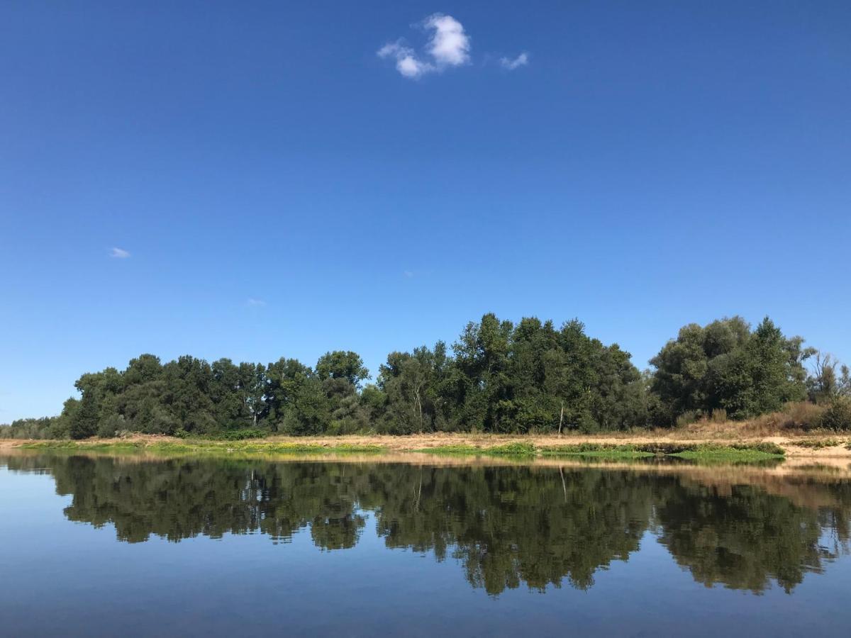 Gite Aux Petits Bonheurs Avec Vue Panoramique Perrigny-sur-Loire Εξωτερικό φωτογραφία